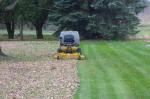 spring and fall clean up services from Wilson Lanscapoe