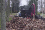 spring and fall clean up services