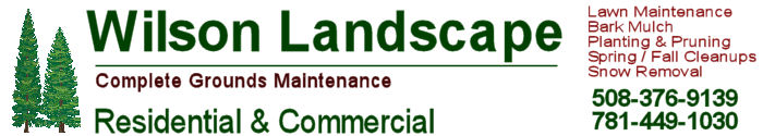 wilson landscape. Landscape services in needham ma, dover ma, millis ma and surrounding areas